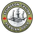 Acadian Gold Caviar