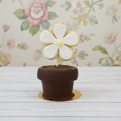 Daisy Delight Flower Pot