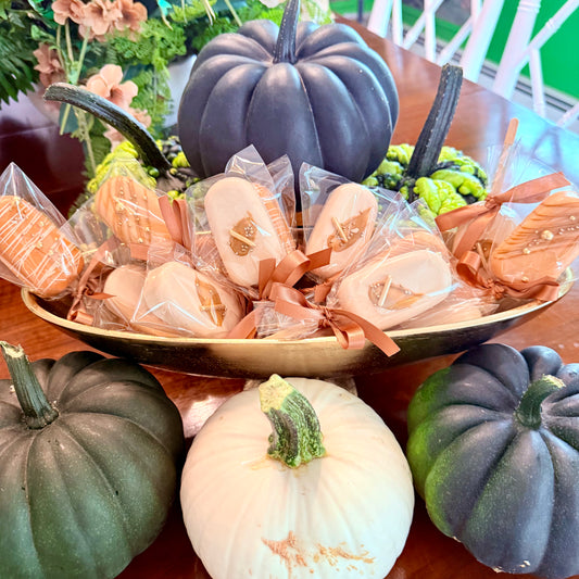 Seasonal Crunchy Chocolate Popsicle Sticks (Limited Edition)