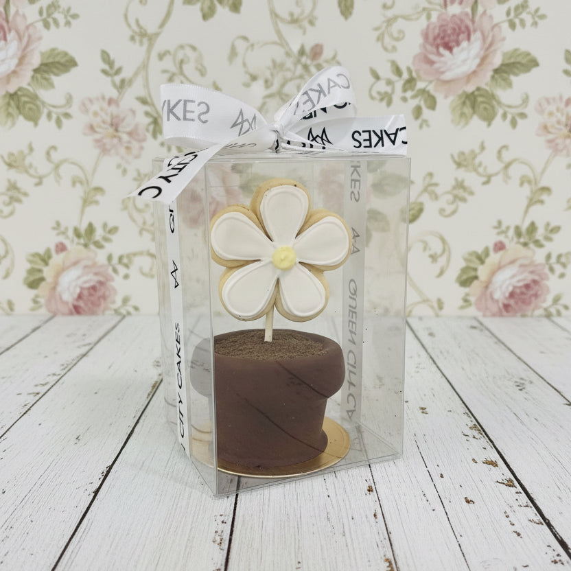 Daisy Delight Flower Pot