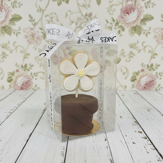 Daisy Delight Flower Pot