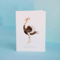 Finest Greeting Cards